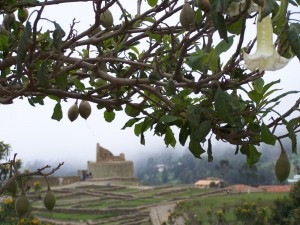 Ingapirca Photo by: Carmen Cristina Carpio Tobar