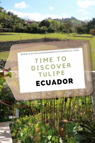 Exploring Tulipe Ancient Sun Culture in Ecuador