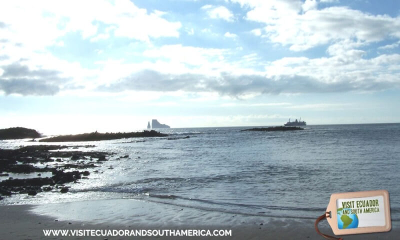 Galapagos - Ecuador © Carmen Cristina Carpio Tobar