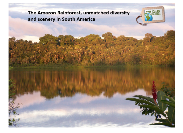 amazonia.png