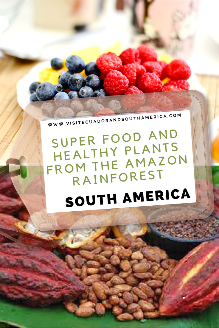 super-food-and-healthy-plants-from-the-amazon-rainforest