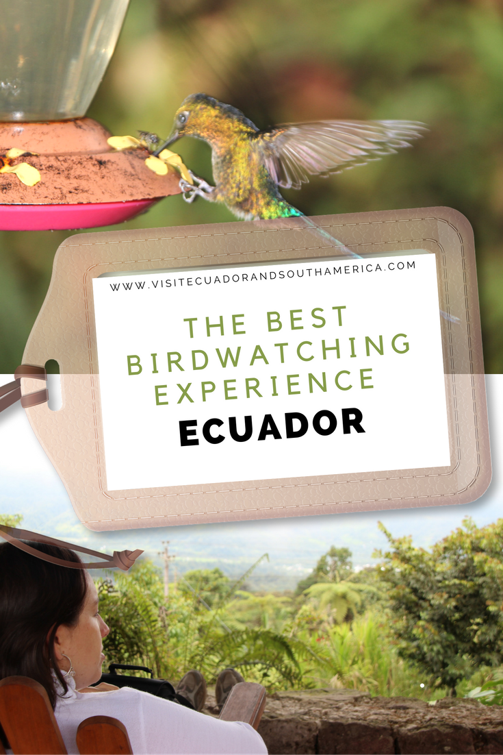 the-best-birdwatching-experience-in-ecuador-photo-tour