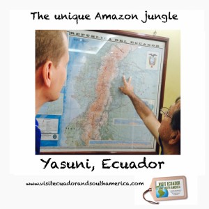 Yasuni, Ecuador/ www.visitecuadorandsouthamerica.com / #visitsamerica 