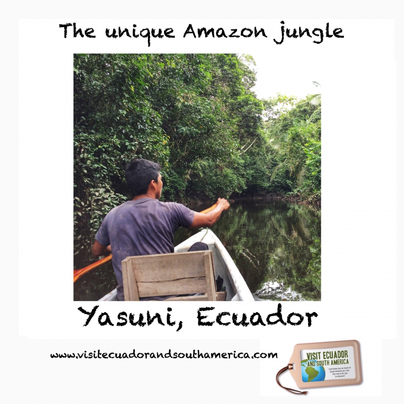 Yasuni, Ecuador/ www.visitecuadorandsouthamerica.com / #visitsamerica 