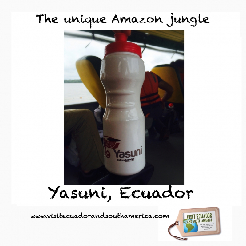 Yasuni 2 / #visitsamerica /visitecuadorandsouthamerica.com