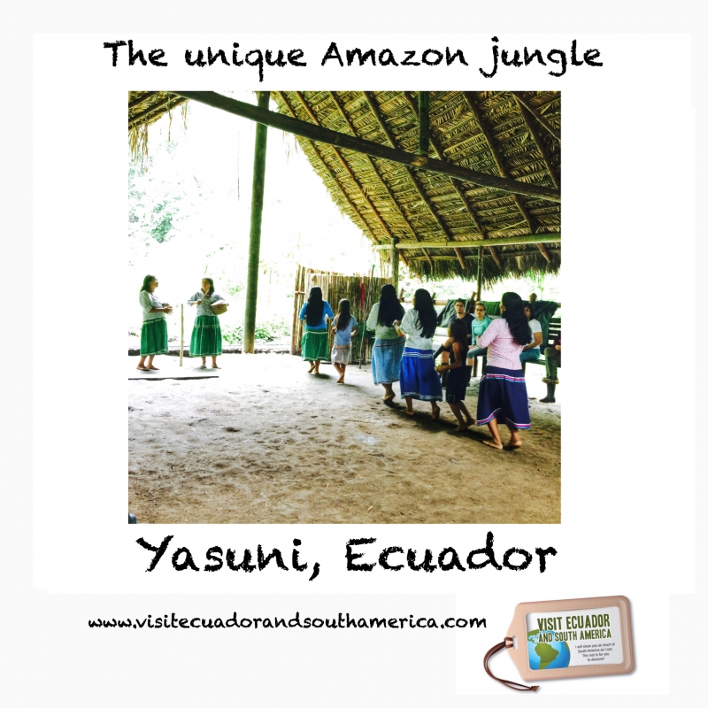 Yasuni, Ecuador/ www.visitecuadorandsouthamerica.com / #visitsamerica 