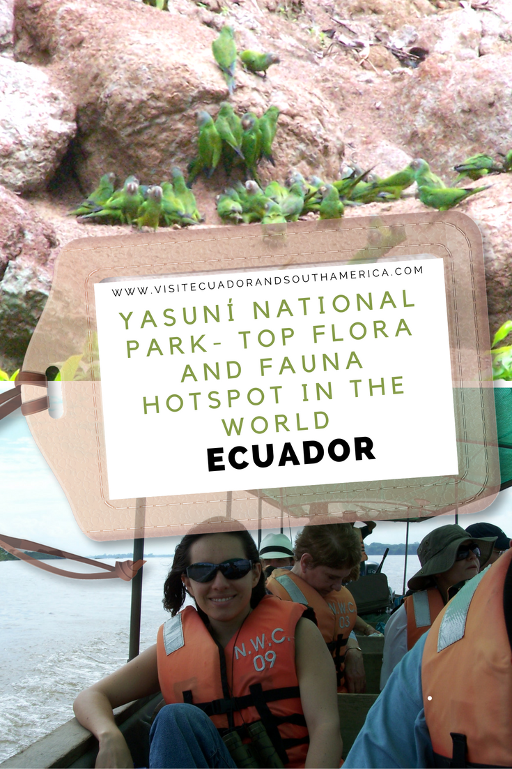 yasuni-national-park-top-flora-and-fauna-hotspot-in-the-world
