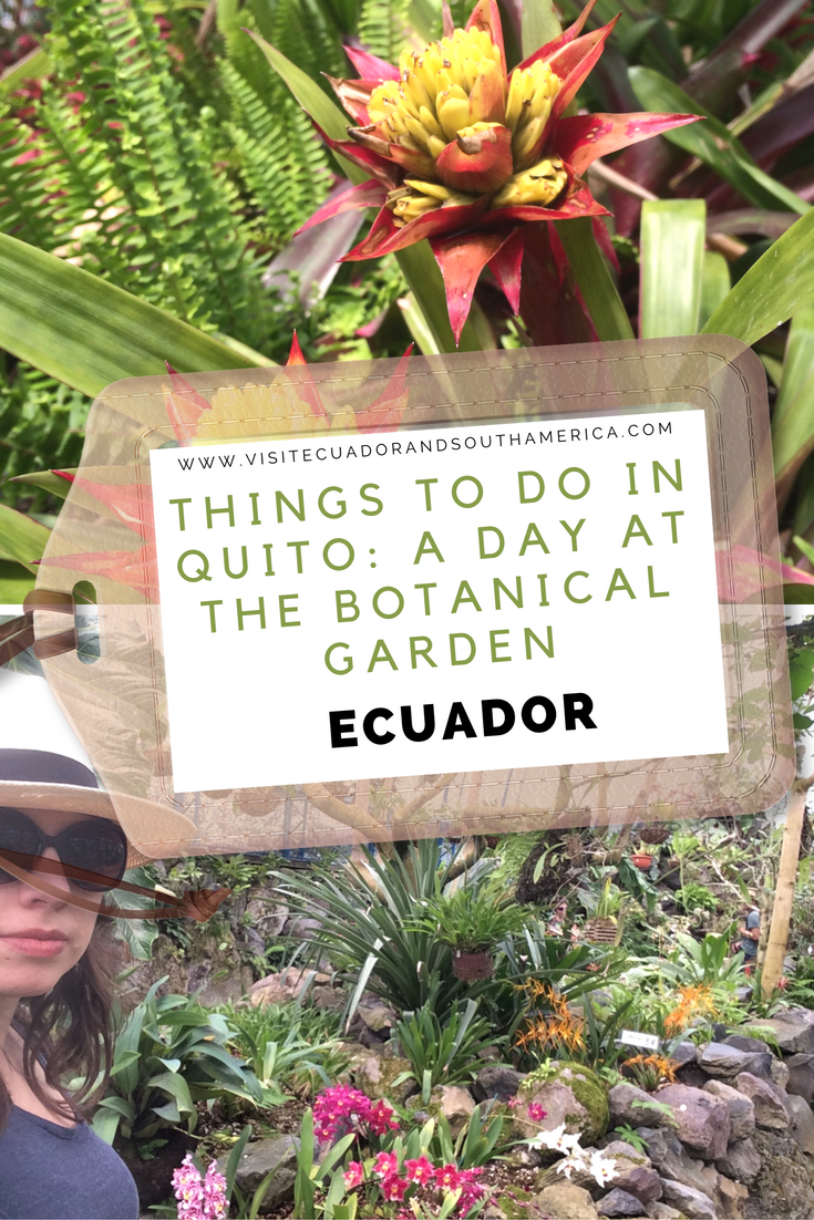 things-to-do-in-quito-a-day-at-the-botanical-garden
