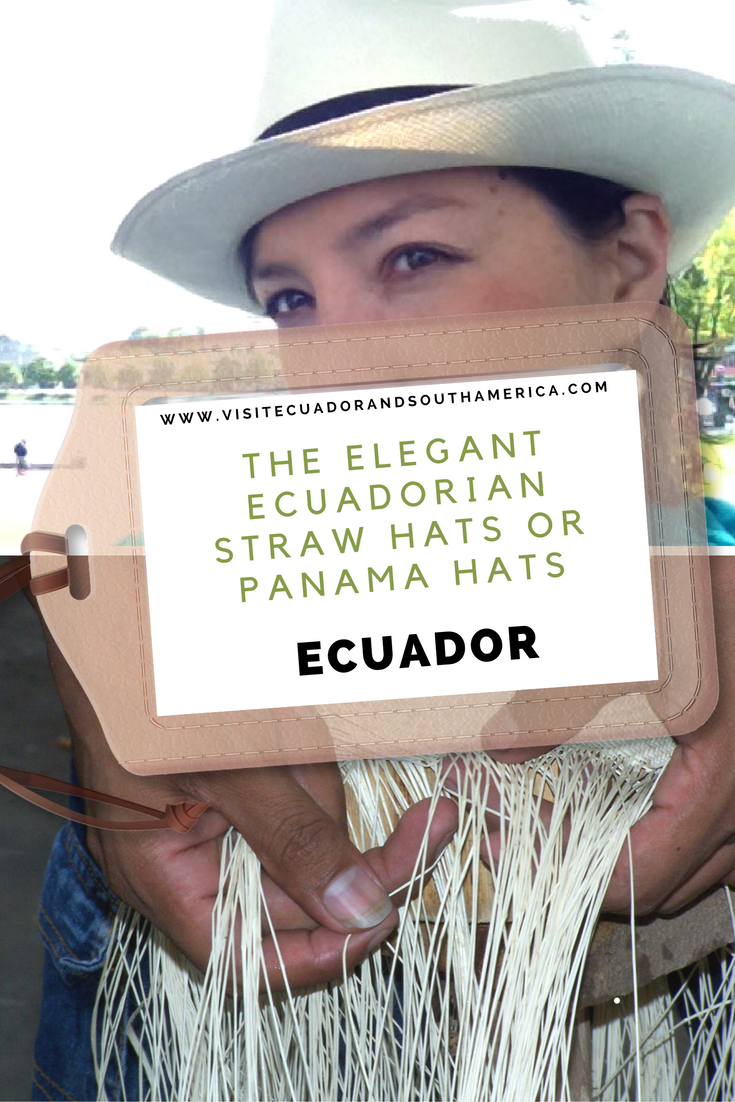 the-elegant-ecuadorian-straw-hats-or-panama-hats
