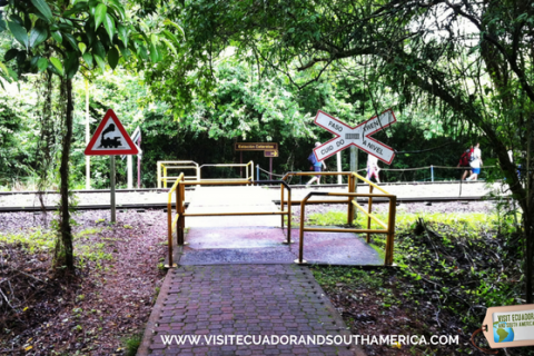 iguazu-falls-in-argentina-unparalleled-beauty-at-every-turn