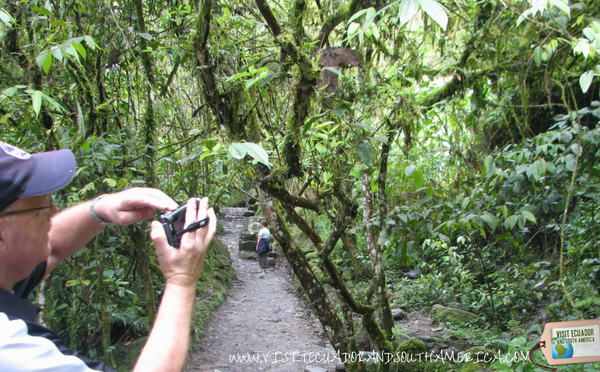 best-things-to-do-in-banos-tungurahua-ecuador2