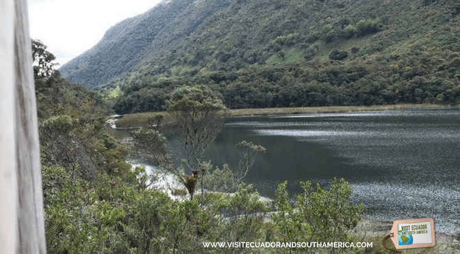 Cajas National Park 