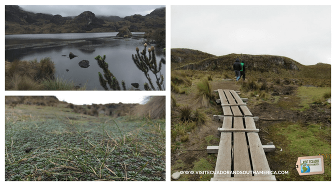 Cajas National Park 