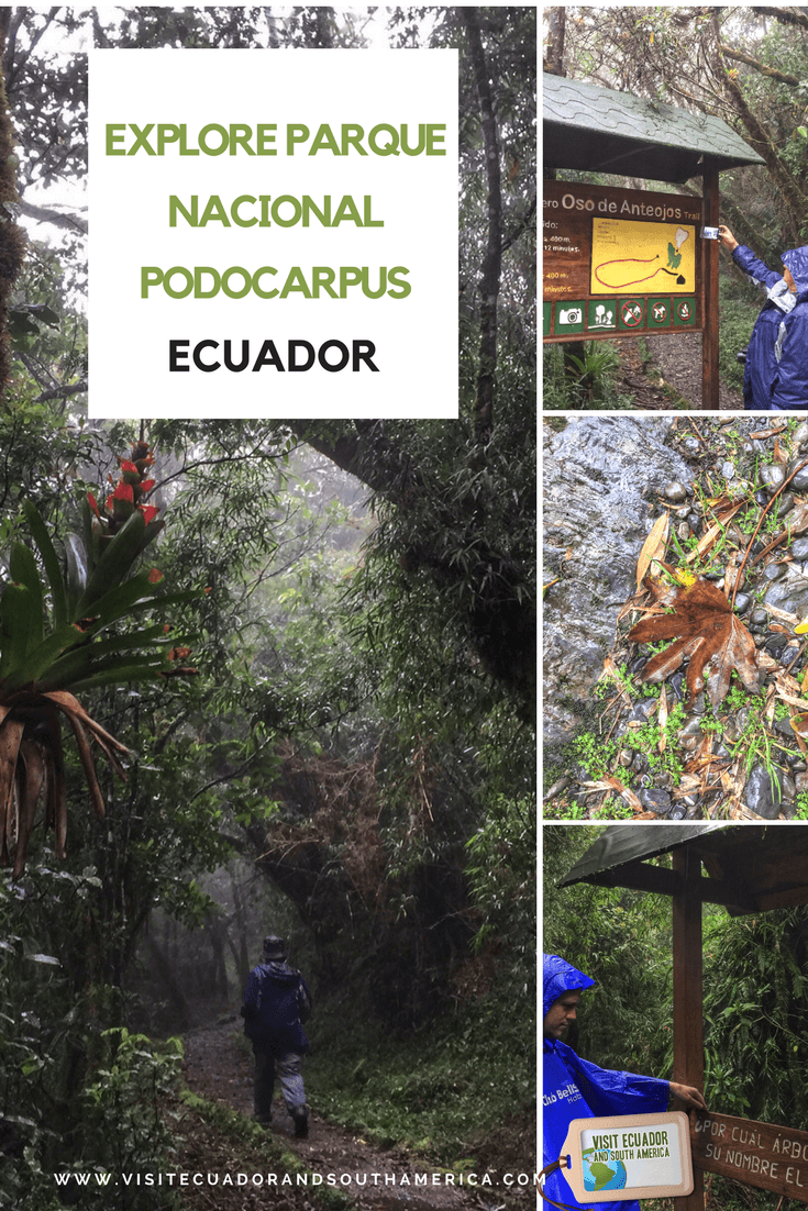 parque nacional podocarpus (2)