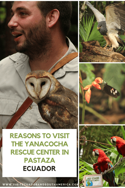 Yanacocha rescue center