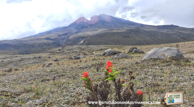 cotopaxi volcano