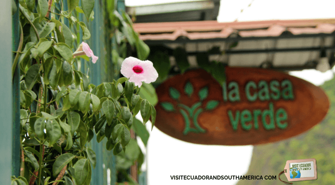 Casa verde eco guest house