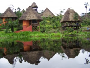 spectacular-experience-in-the-amazon-jungle-in-ecuador