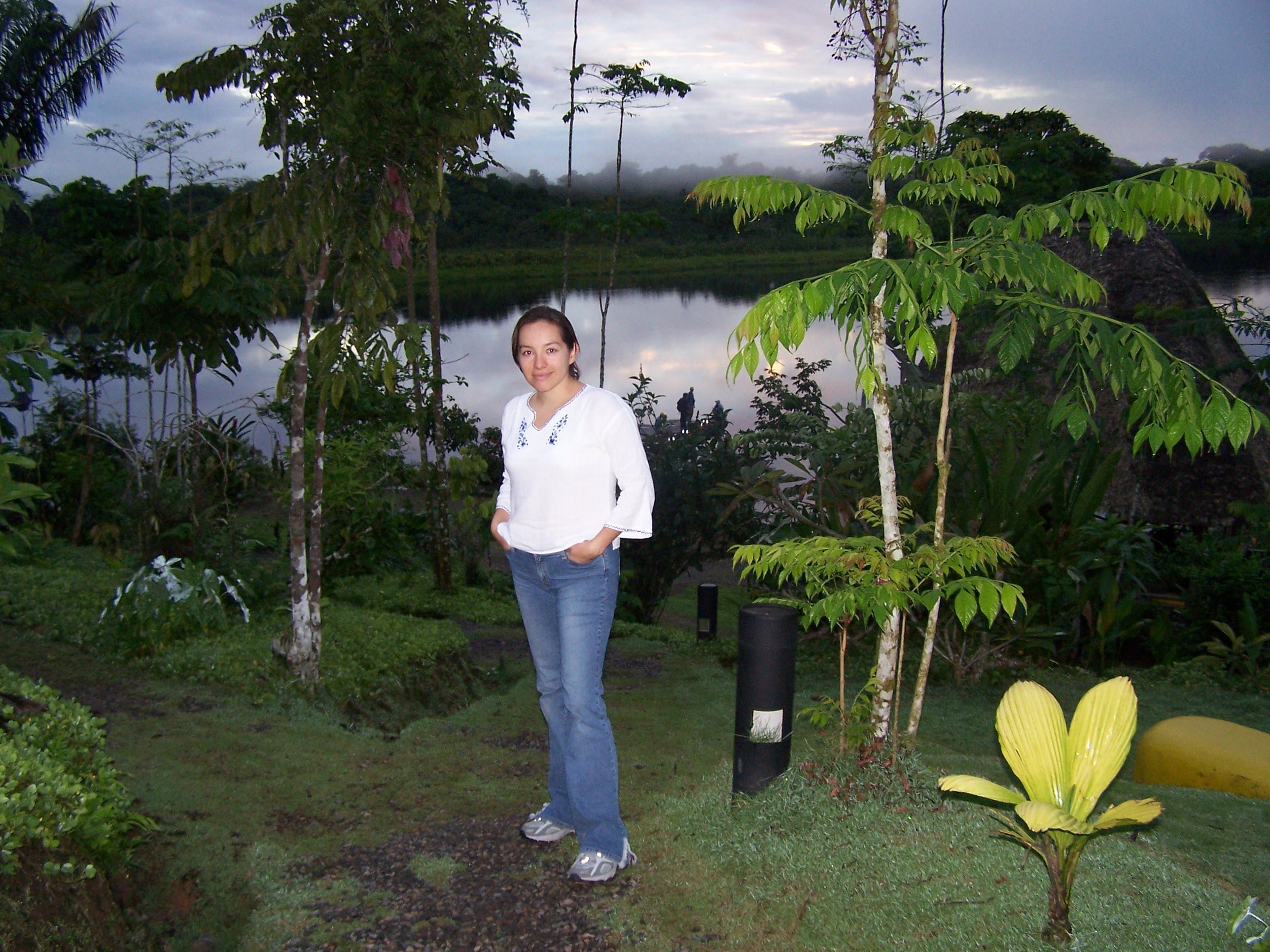 Jungle amazonia Ecuador