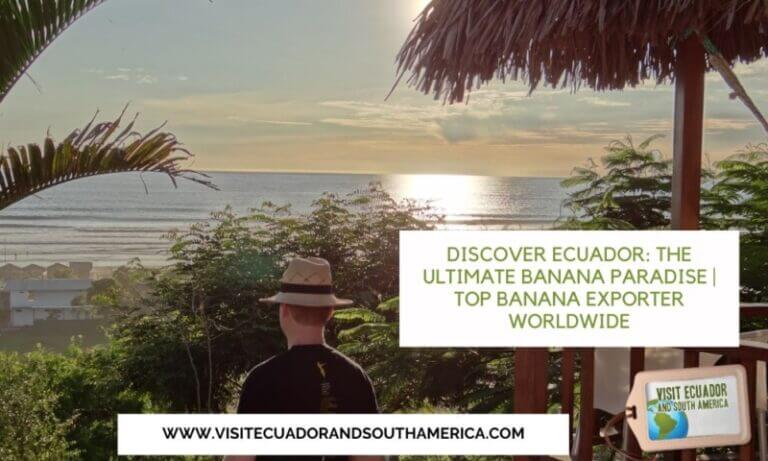 Discover Ecuador The Ultimate Banana Paradise Top Banana Exporter Worldwide