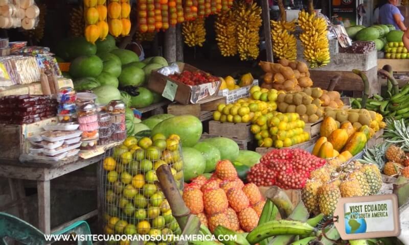 Discover Ecuador The Ultimate Banana Paradise Top Banana Exporter Worldwide