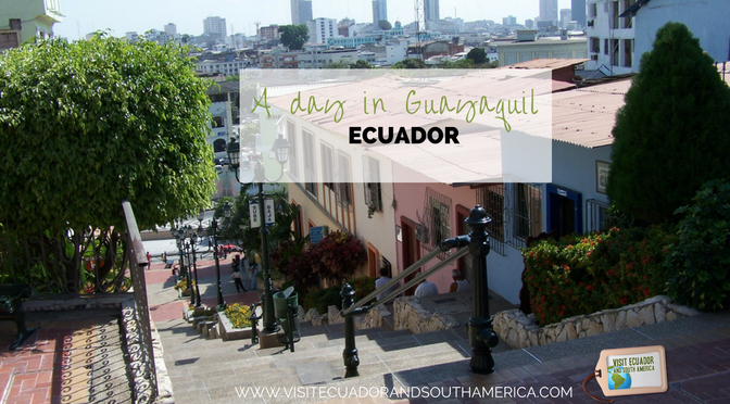 guayaquil-things-to-do-in-this-vibrant-port-city