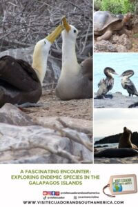 A Fascinating Encounter Exploring Endemic Species in the Galapagos Islands