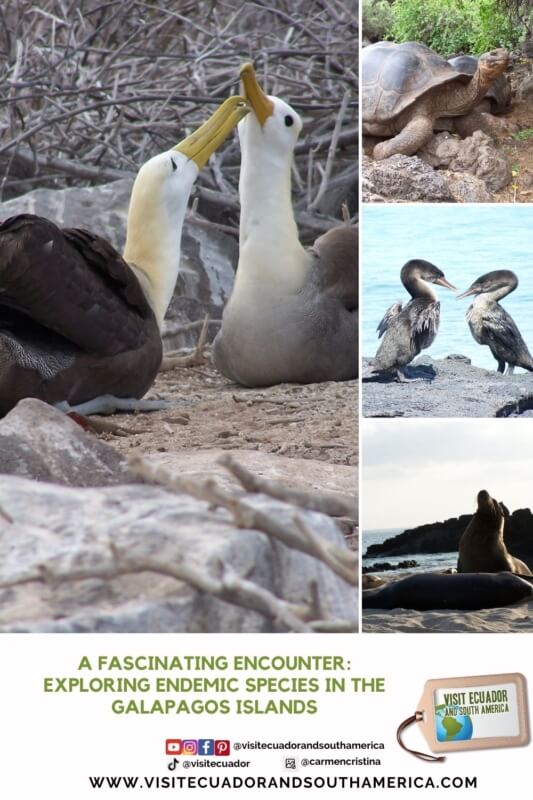 A Fascinating Encounter Exploring Endemic Species in the Galapagos Islands