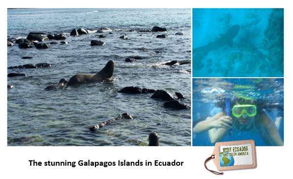 galapagos-encounter-endemic-species.png
