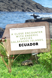 galapagos_endemic_species