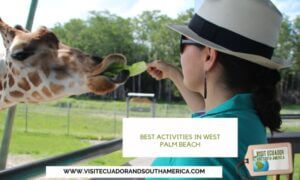 Best activities in West Palm Beach