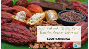 super-food-and-healthy-plants-from-the-amazon-rainforest