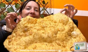 empanada de viento (2)