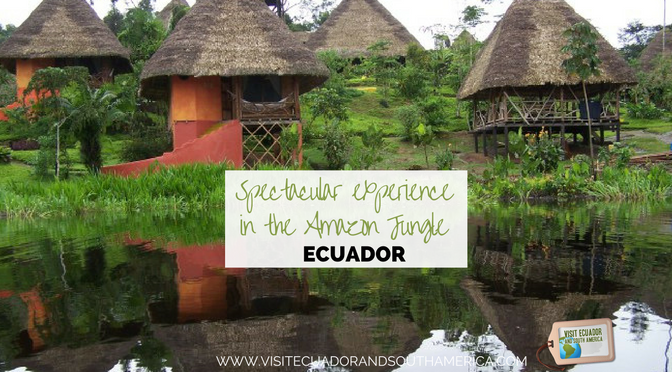 spectacular-experience-in-the-amazon-jungle-ecuador