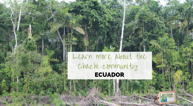 learn-more-about-the-chachi-community-ecuador