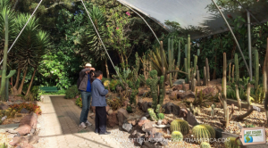 Quito_Botanical_Garden