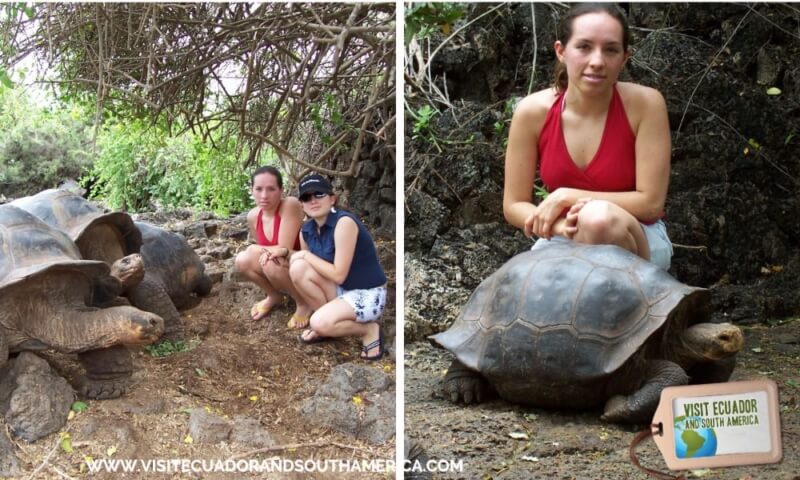 GALAPAGOS - www.visitecuadorandsouthamerica.com