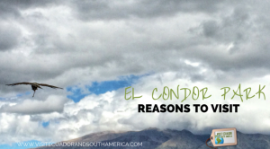 reasons-to-visit-parque-condor-in-ecuador
