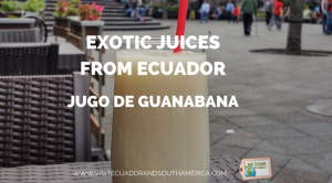 exotic-juices-from-ecuador-jugo-de-guanabana