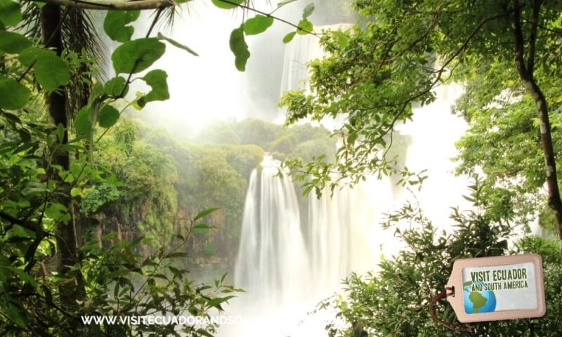 Mesmerizing vistas await you at Foz do Iguaçu