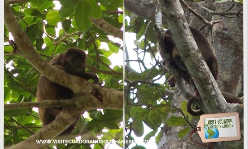 visit-manabi-province-in-ecuador