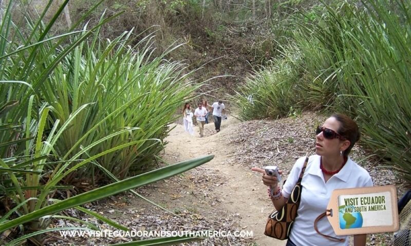 visit-manabi-province-in-ecuador