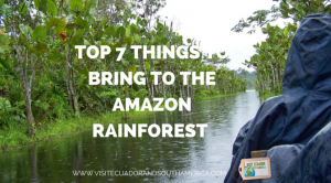 top-7-things-to-bring-to-the-amazon-rainforest