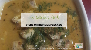 ecuadorian-food-viche-or-biche-de-pescado
