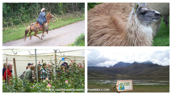 Road trip_Quito_Cuenca_16