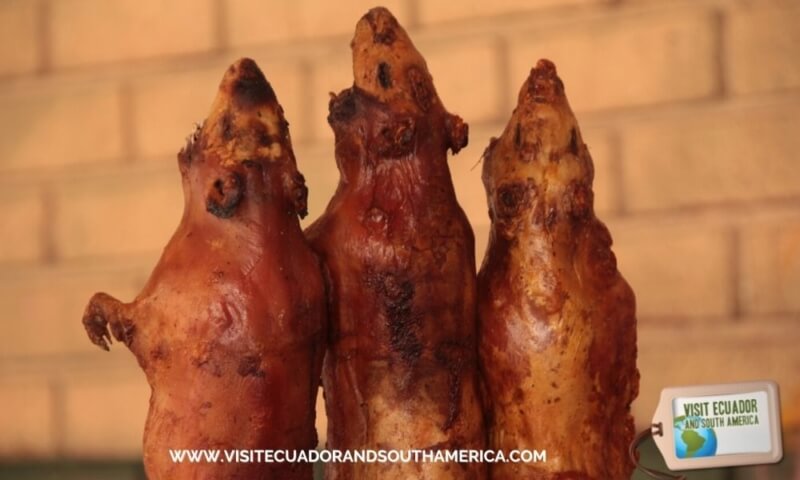 Ecuadorian food cuy Visit Ecuador and South America