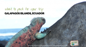 pack-galapagos-islands-trip