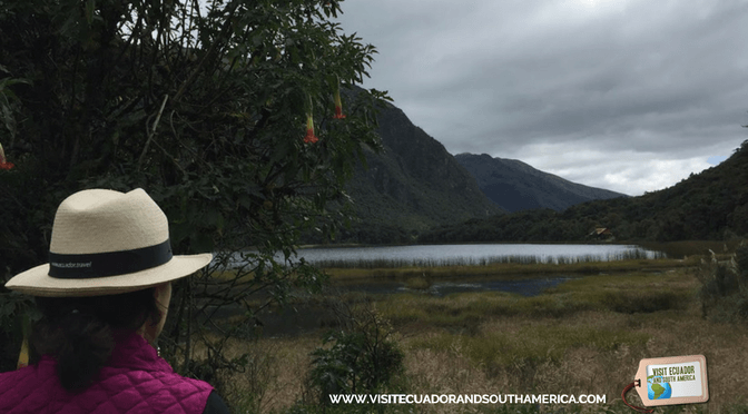 Cajas National Park 2