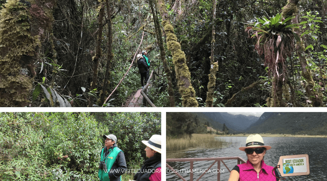 Cajas National Park 