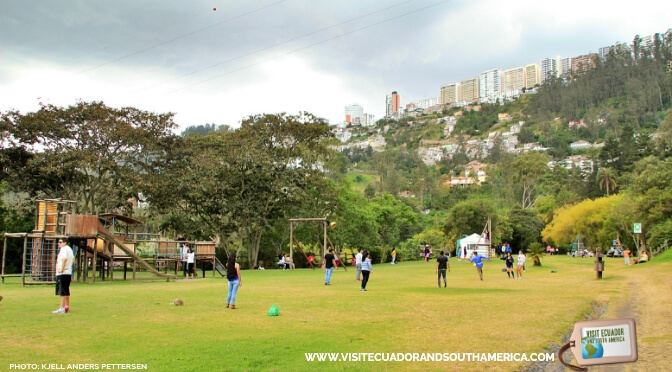 Guapulo Park 